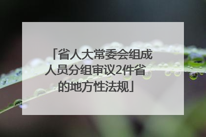 省人大常委会组成人员分组审议2件省的地方性法规