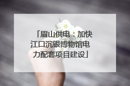 眉山供电：加快江口沉银博物馆电力配套项目建设