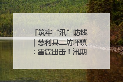 筑牢“汛”防线｜慈利县二坊坪镇：雷霆出击！汛期捕鱼被紧急叫停