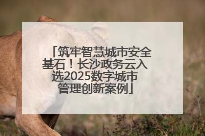 筑牢智慧城市安全基石！长沙政务云入选2025数字城市管理创新案例