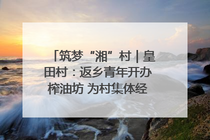 筑梦“湘”村｜皇田村：返乡青年开办榨油坊 为村集体经济“加油”