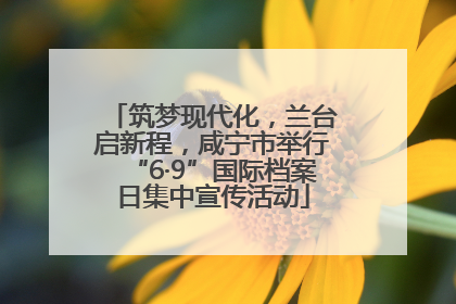 筑梦现代化，兰台启新程，咸宁市举行“6·9”国际档案日集中宣传活动