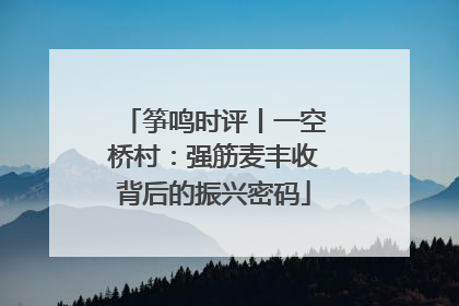 筝鸣时评丨一空桥村：强筋麦丰收背后的振兴密码