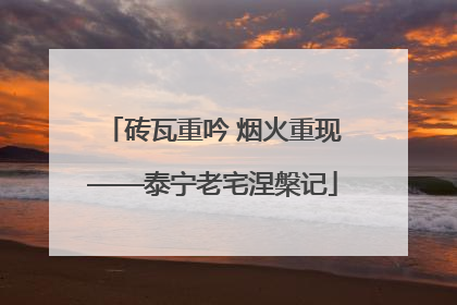 砖瓦重吟 烟火重现——泰宁老宅涅槃记
