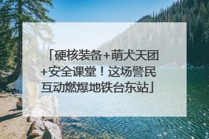 硬核装备+萌犬天团+安全课堂！这场警民互动燃爆地铁台东站