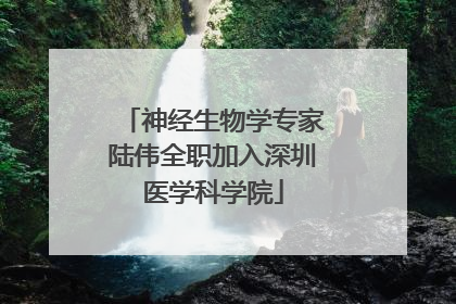 神经生物学专家陆伟全职加入深圳医学科学院