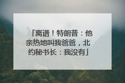 离谱！特朗普：他亲热地叫我爸爸，北约秘书长：我没有