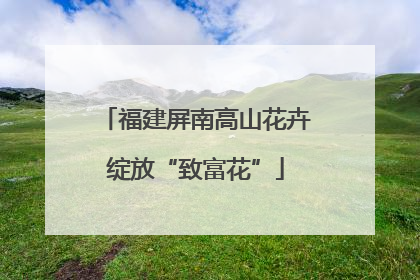 福建屏南高山花卉绽放“致富花”