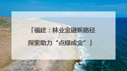 福建：林业金融新路径探索助力“点绿成金”