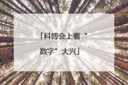 科博会上看“数字”大兴