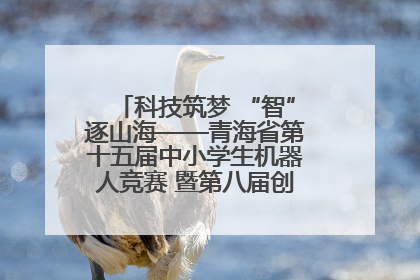 科技筑梦 “智”逐山海——青海省第十五届中小学生机器人竞赛 暨第八届创新设计大赛见闻