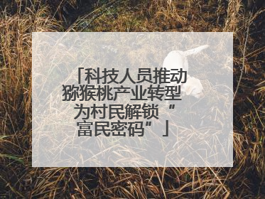 科技人员推动猕猴桃产业转型 为村民解锁“富民密码”