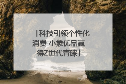 科技引领个性化消费 小象优品赢得Z世代青睐