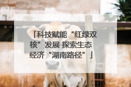 科技赋能“红绿双核”发展 探索生态经济“湖南路径”