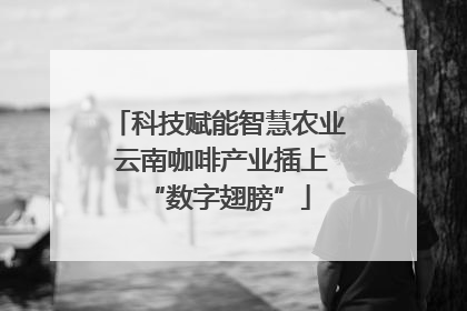 科技赋能智慧农业 云南咖啡产业插上“数字翅膀”