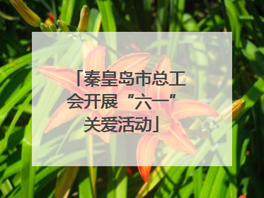 秦皇岛市总工会开展“六一”关爱活动