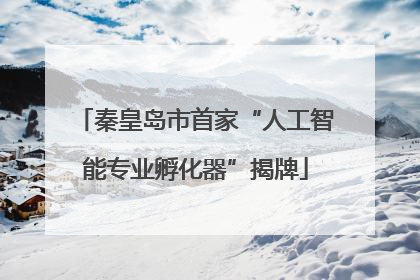 秦皇岛市首家“人工智能专业孵化器”揭牌