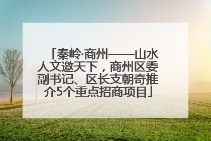秦岭·商州——山水人文邀天下，商州区委副书记、区长支朝奇推介5个重点招商项目