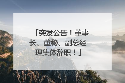 突发公告！董事长、董秘、副总经理集体辞职！