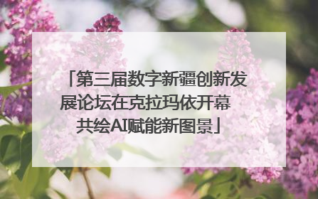 第三届数字新疆创新发展论坛在克拉玛依开幕 共绘AI赋能新图景
