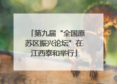 第九届“全国原苏区振兴论坛”在江西泰和举行