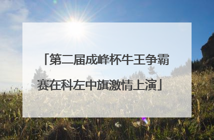 第二届成峰杯牛王争霸赛在科左中旗激情上演