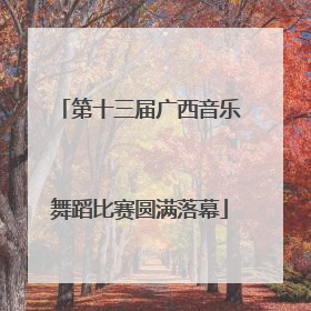 第十三届广西音乐舞蹈比赛圆满落幕