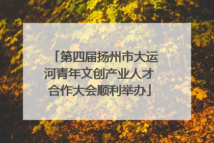 第四届扬州市大运河青年文创产业人才合作大会顺利举办
