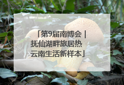 第9届南博会｜抚仙湖畔旅居热 云南生活新样本