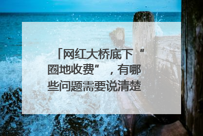 网红大桥底下“圈地收费”，有哪些问题需要说清楚｜新京报快评