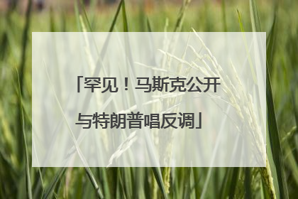 罕见！马斯克公开与特朗普唱反调