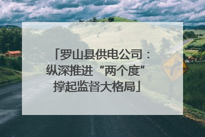 罗山县供电公司：纵深推进“两个度” 撑起监督大格局
