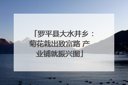 罗平县大水井乡：菊花栽出致富路 产业铺就振兴图