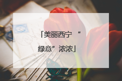 美丽西宁 “绿意”浓浓