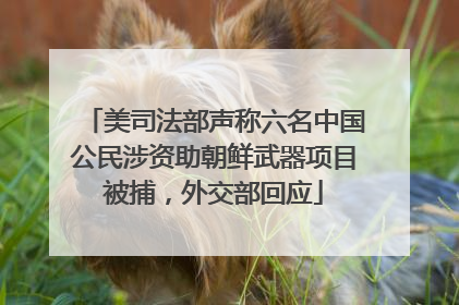美司法部声称六名中国公民涉资助朝鲜武器项目被捕，外交部回应