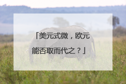 美元式微，欧元能否取而代之？