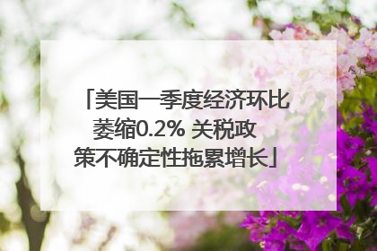 美国一季度经济环比萎缩0.2% 关税政策不确定性拖累增长