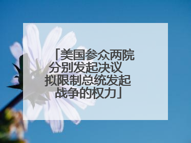 美国参众两院分别发起决议 拟限制总统发起战争的权力