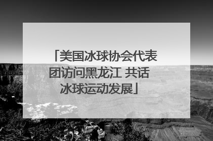 美国冰球协会代表团访问黑龙江 共话冰球运动发展