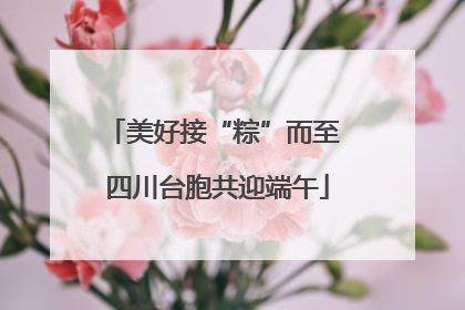 美好接“粽”而至 四川台胞共迎端午