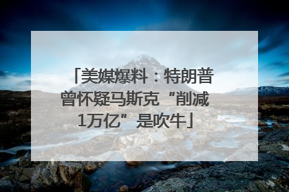 美媒爆料：特朗普曾怀疑马斯克“削减1万亿”是吹牛