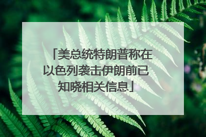 美总统特朗普称在以色列袭击伊朗前已知晓相关信息