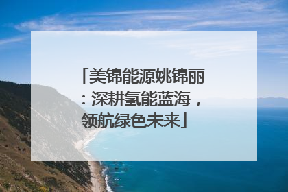 美锦能源姚锦丽：深耕氢能蓝海，领航绿色未来