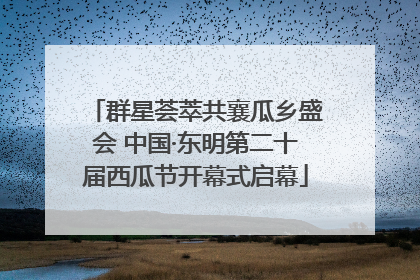 群星荟萃共襄瓜乡盛会 中国·东明第二十届西瓜节开幕式启幕