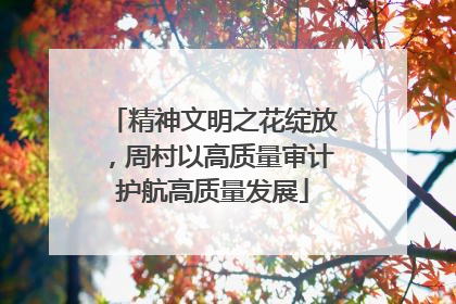 精神文明之花绽放，周村以高质量审计护航高质量发展