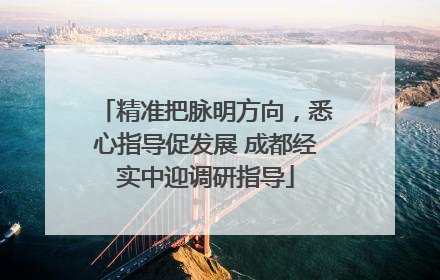 精准把脉明方向，悉心指导促发展 成都经实中迎调研指导