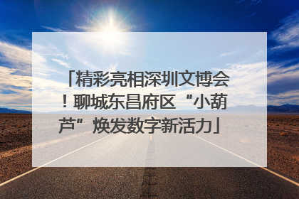 精彩亮相深圳文博会！聊城东昌府区“小葫芦”焕发数字新活力