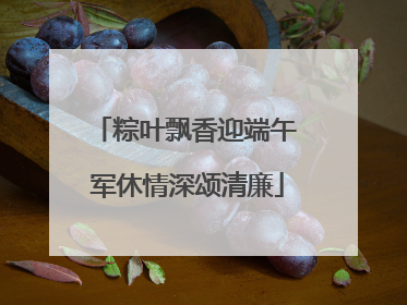 粽叶飘香迎端午 军休情深颂清廉