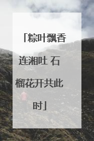 粽叶飘香连湘吐 石榴花开共此时