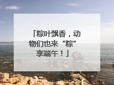 粽叶飘香，动物们也来“粽”享端午！